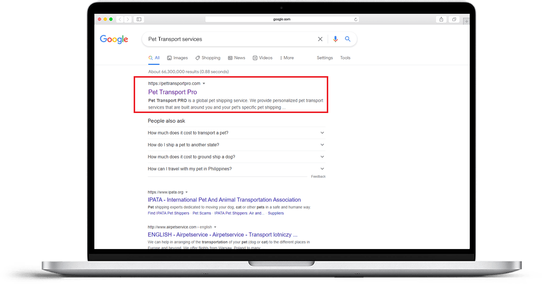 Pet Transport SEO results desktop